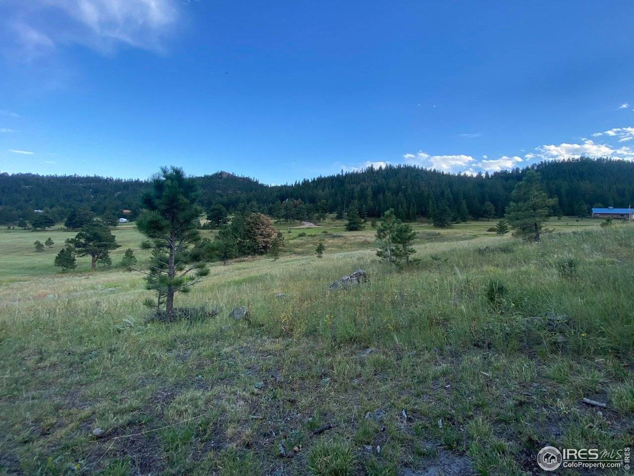 78 Mount Champion, Livermore, CO 80536