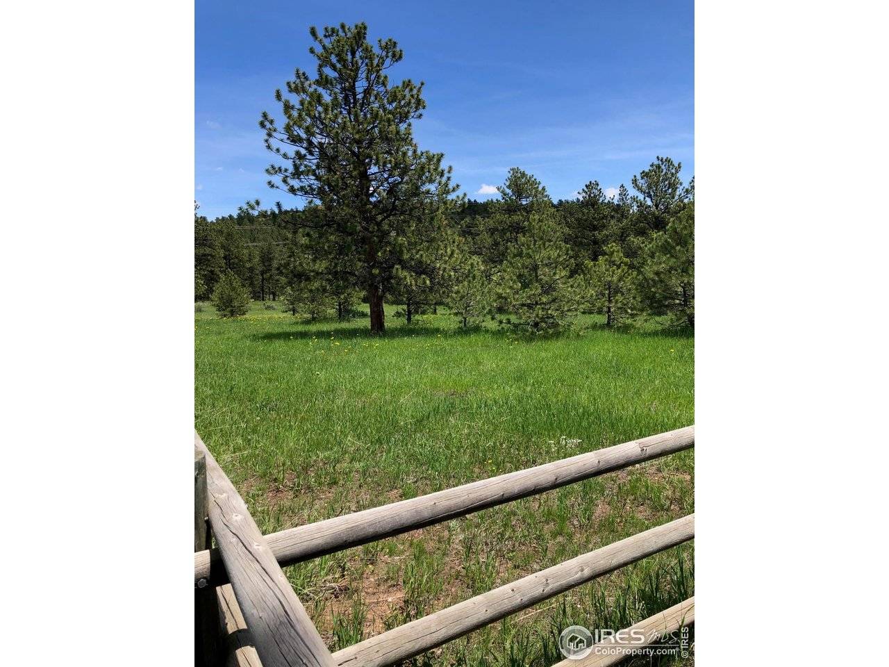 442 Quarter Circle, Evergreen, CO 80439