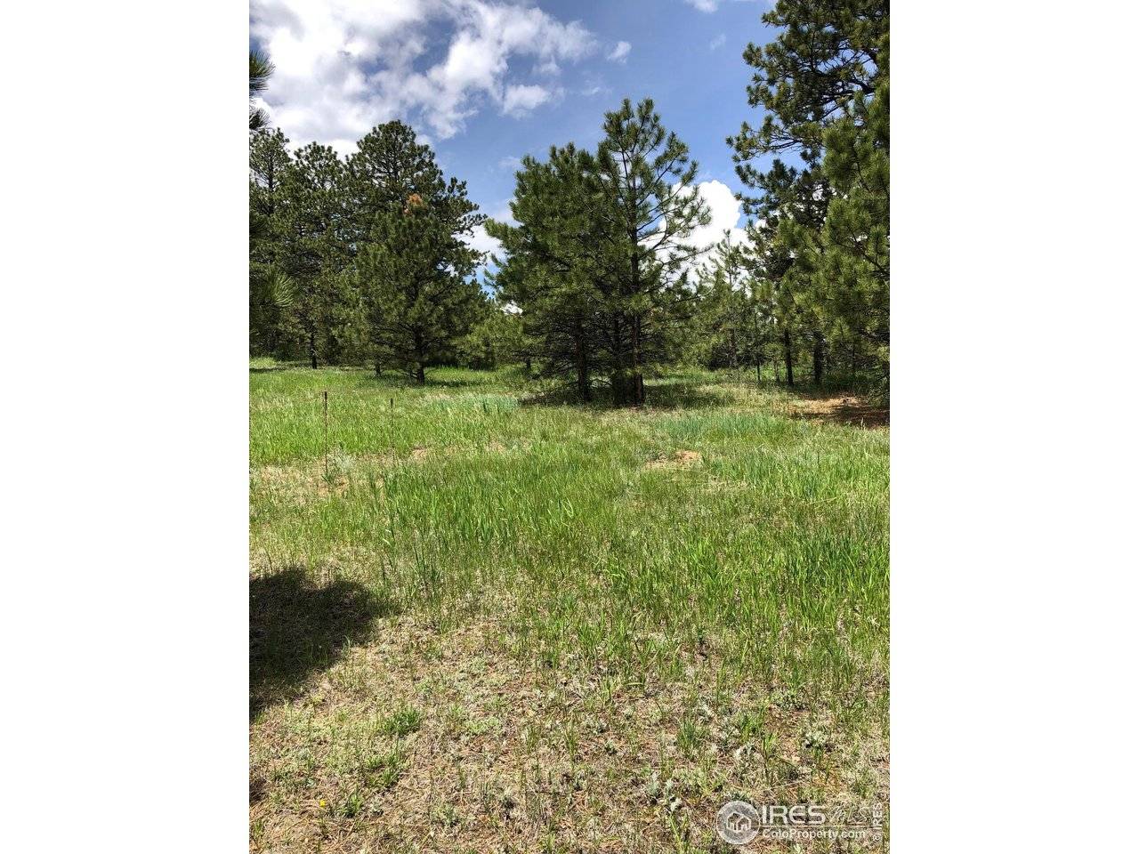 442 Quarter Circle, Evergreen, CO 80439