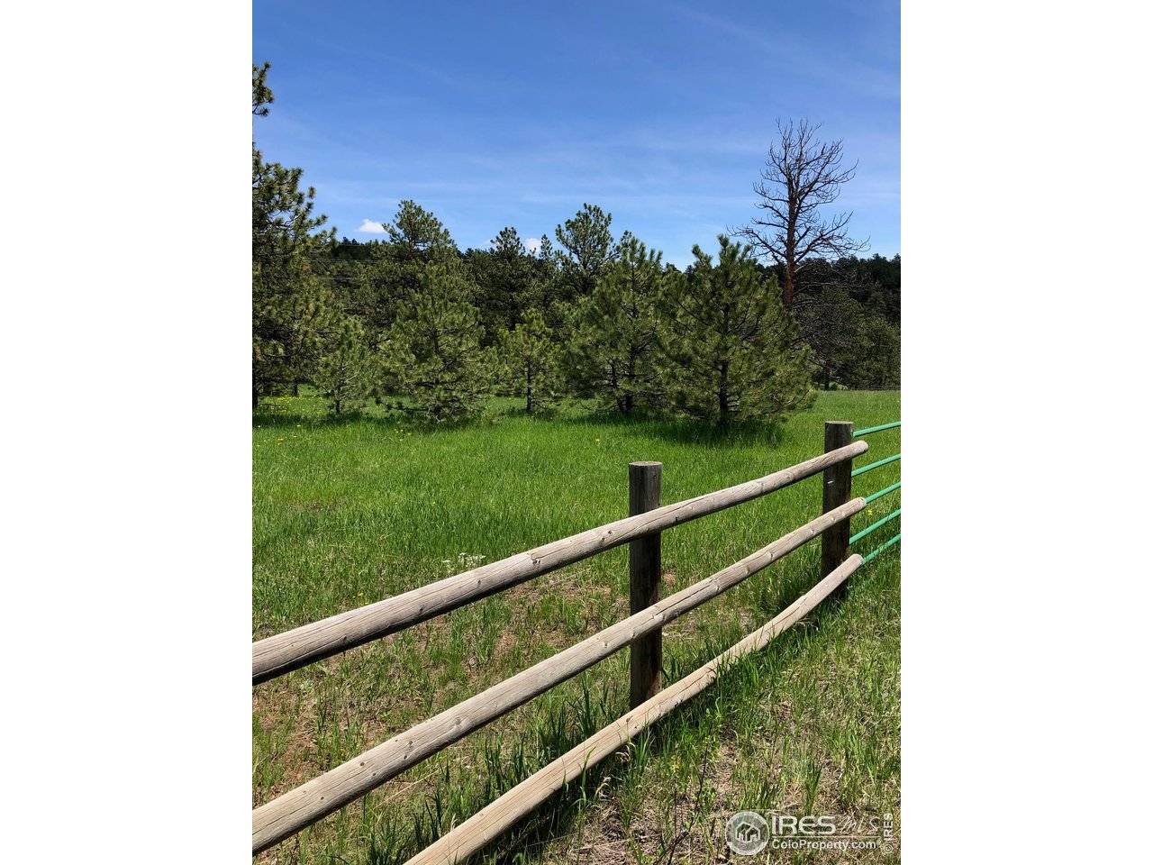 442 Quarter Circle, Evergreen, CO 80439