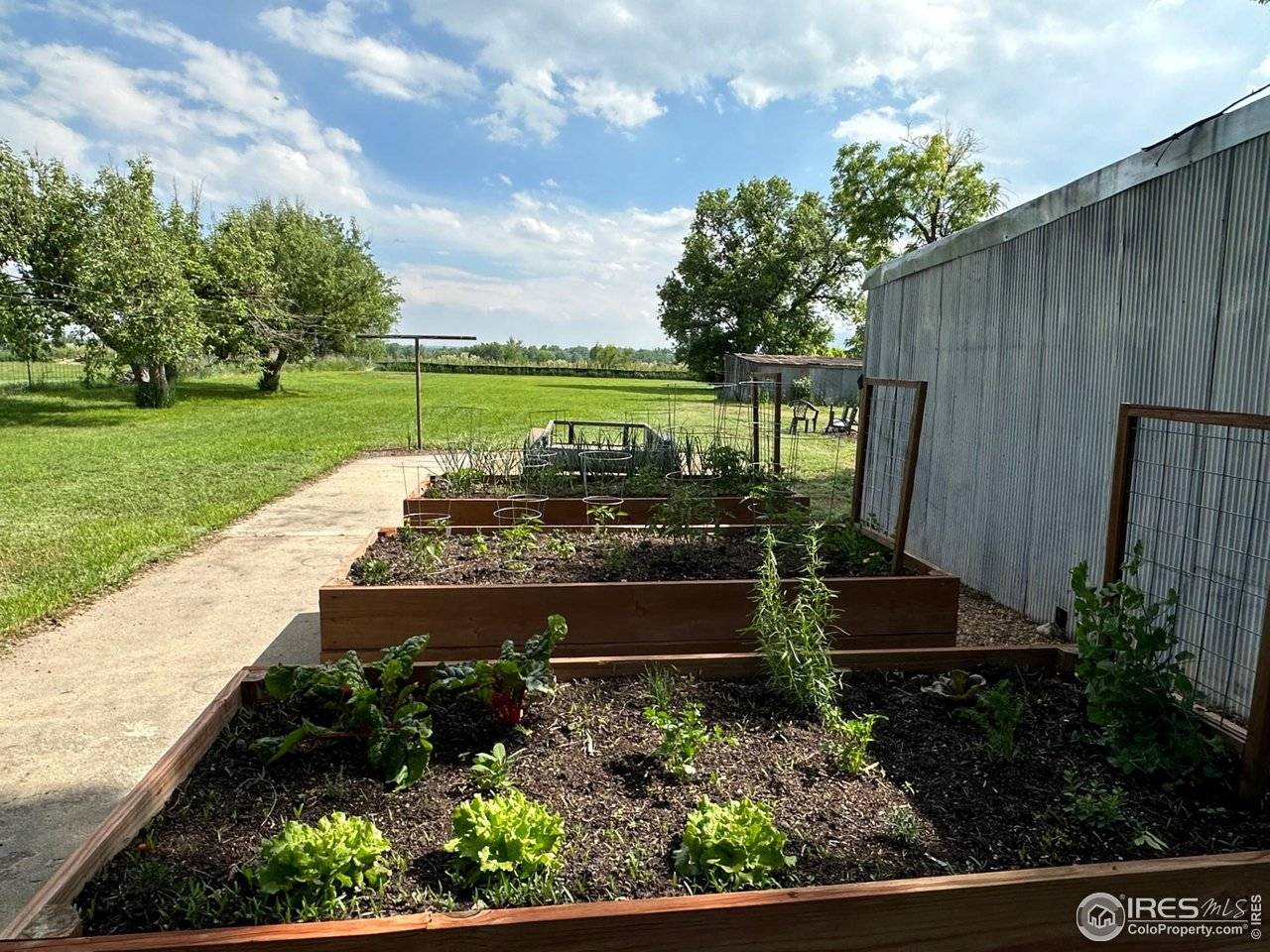 7800 Hygiene, Longmont, CO 80503