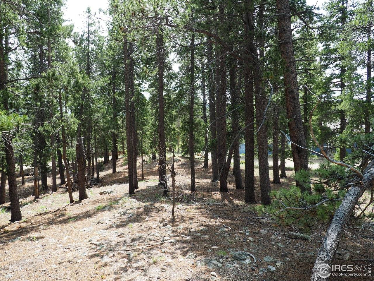 0 Caesar, Black Hawk, CO 80422