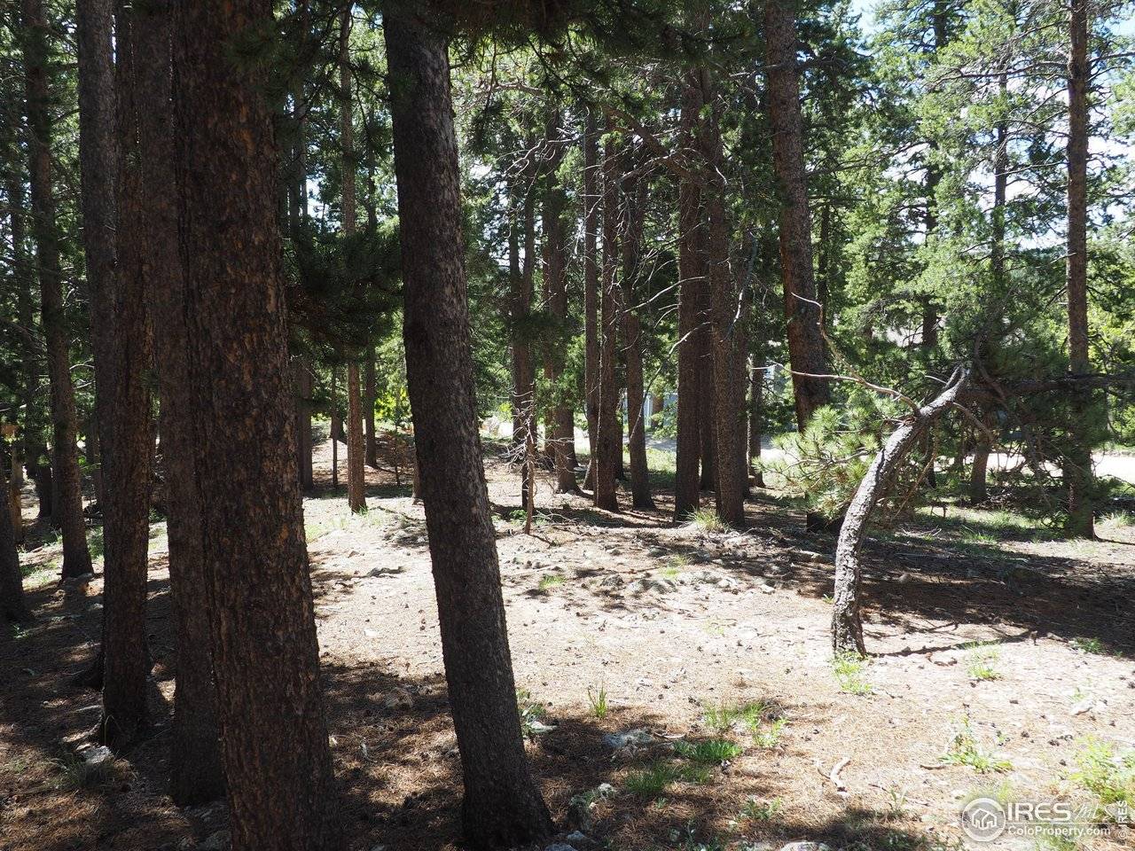 0 Caesar, Black Hawk, CO 80422