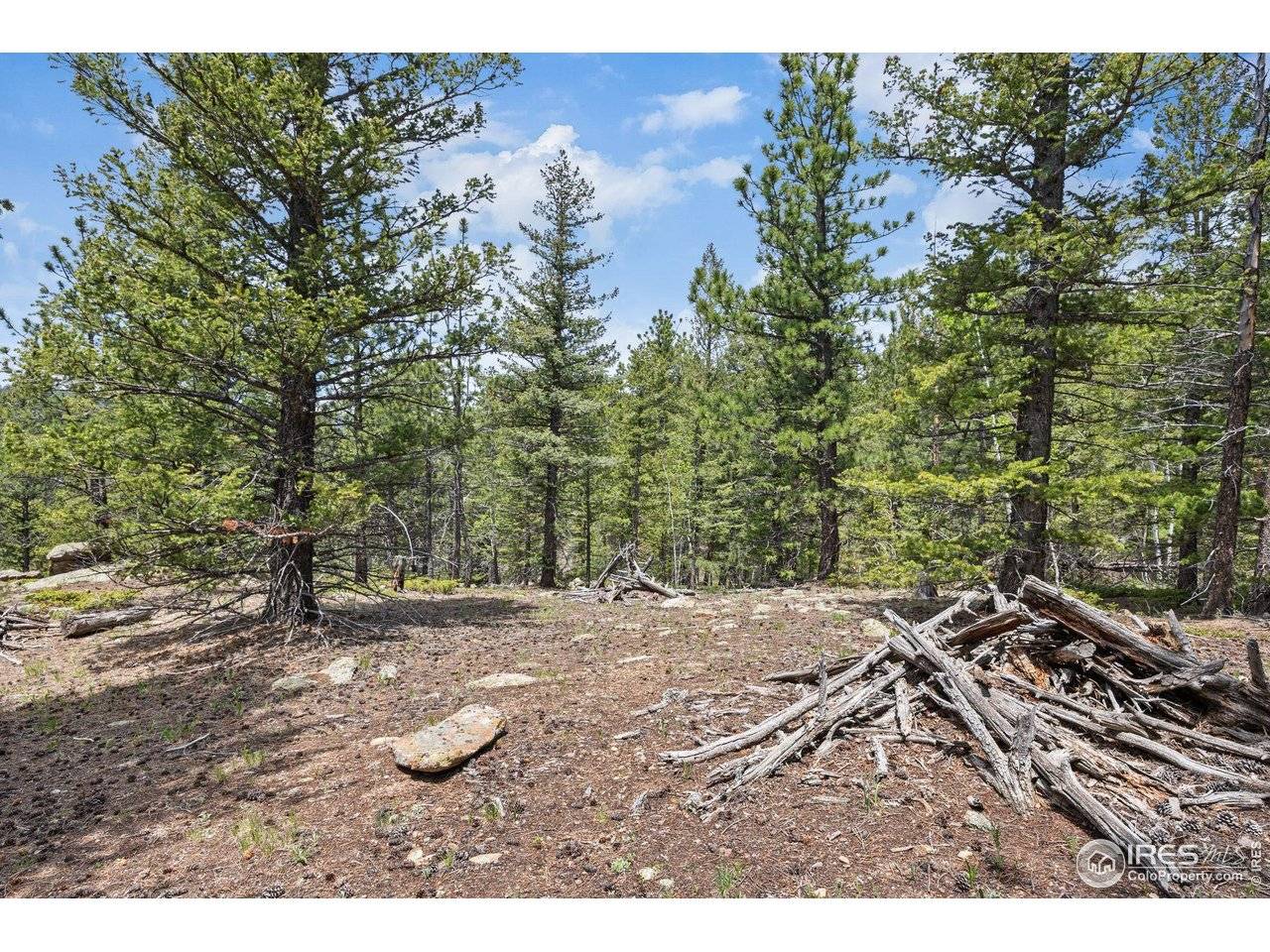 398 Overland, Ward, CO 80481