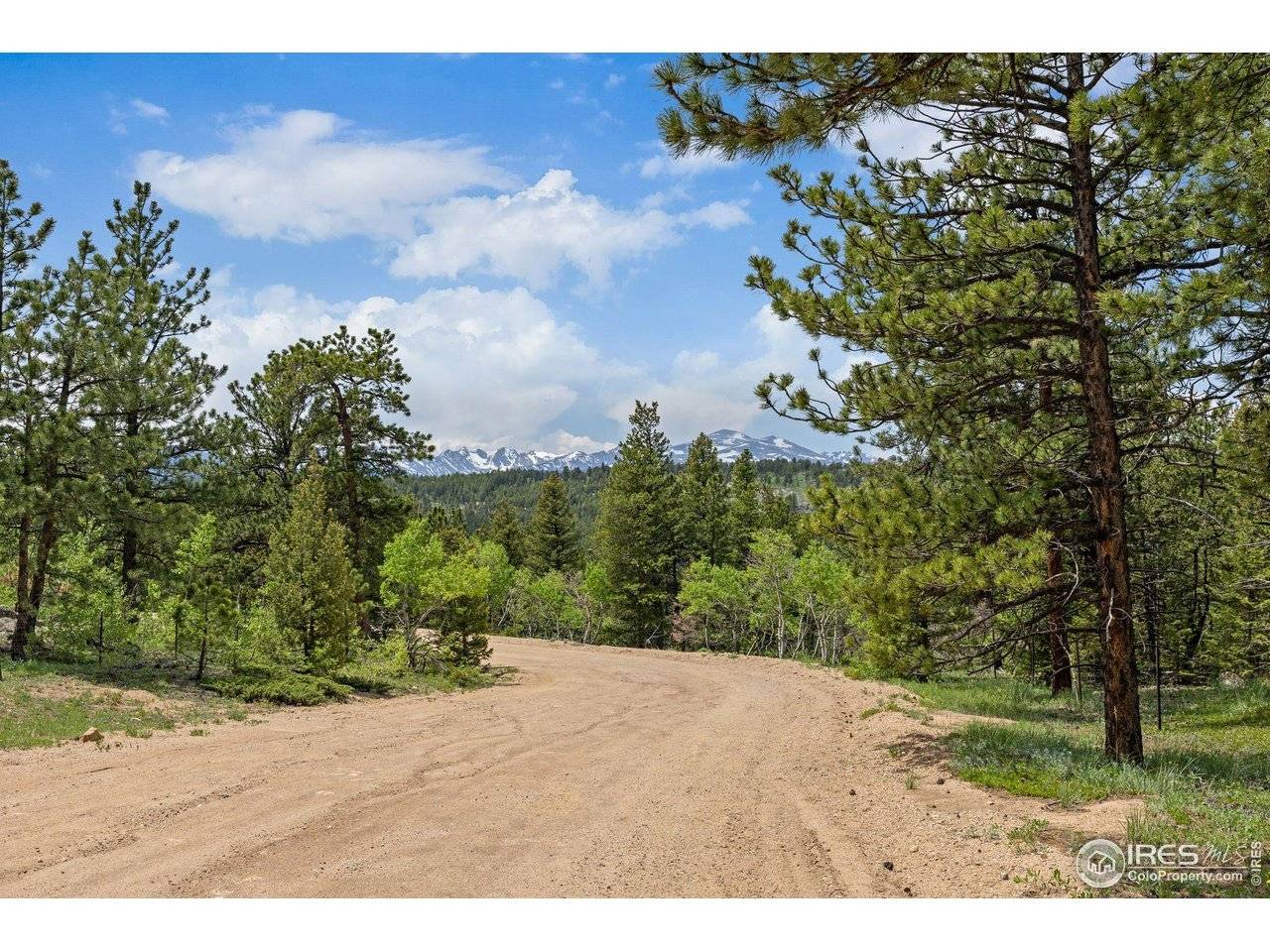 398 Overland, Ward, CO 80481