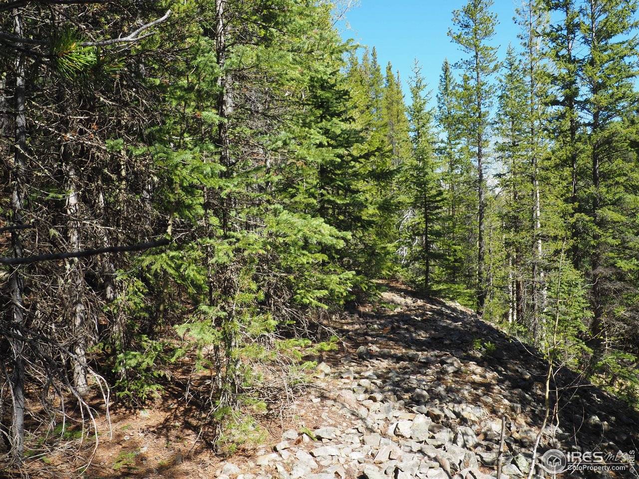 0 Gamble Gulch, Black Hawk, CO 80422