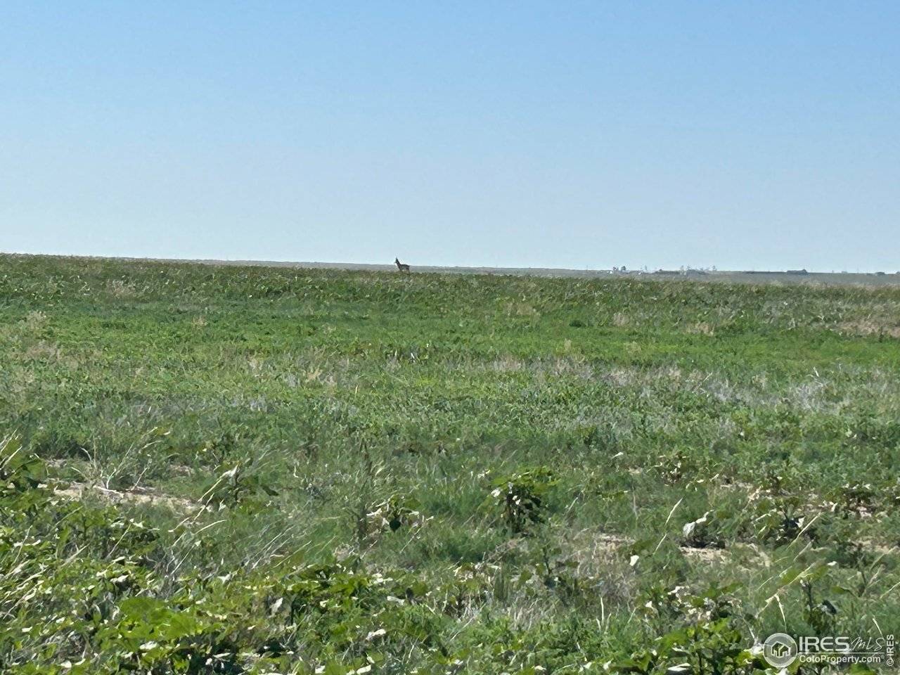 0 CR 74, Briggsdale, CO 80611