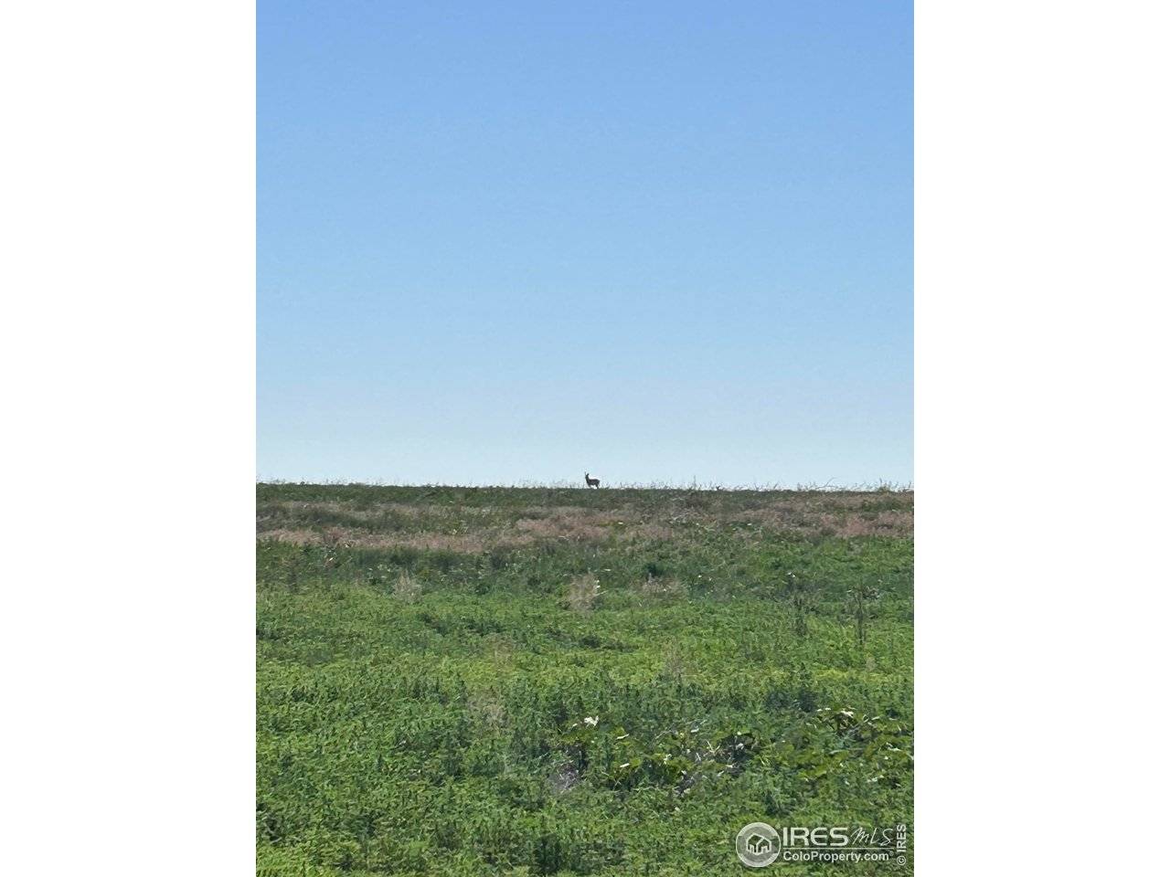 0 CR 74, Briggsdale, CO 80611