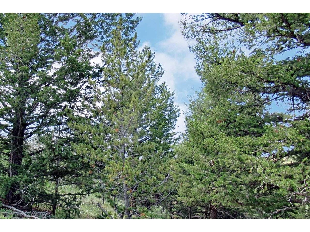Address not disclosed, Sand Creek Township, CO 82070