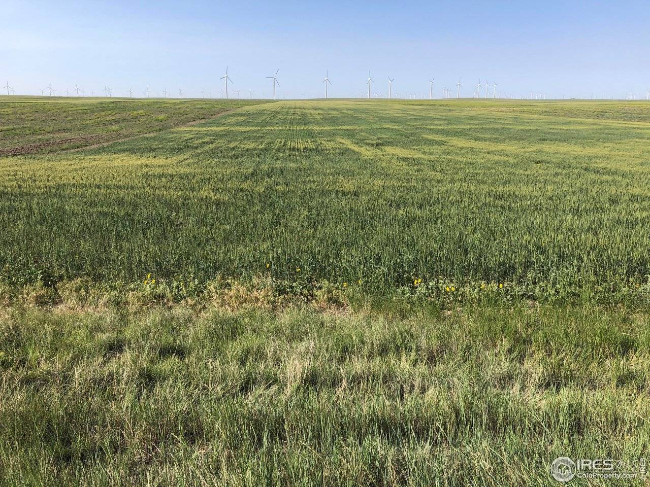 0 WCR 105, Grover, CO 80729