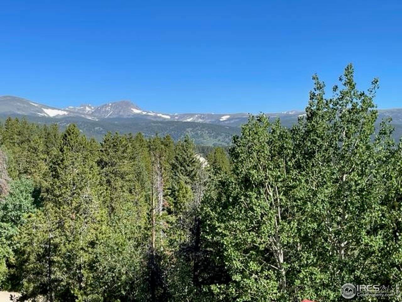 8 Valley View, Nederland, CO 80466