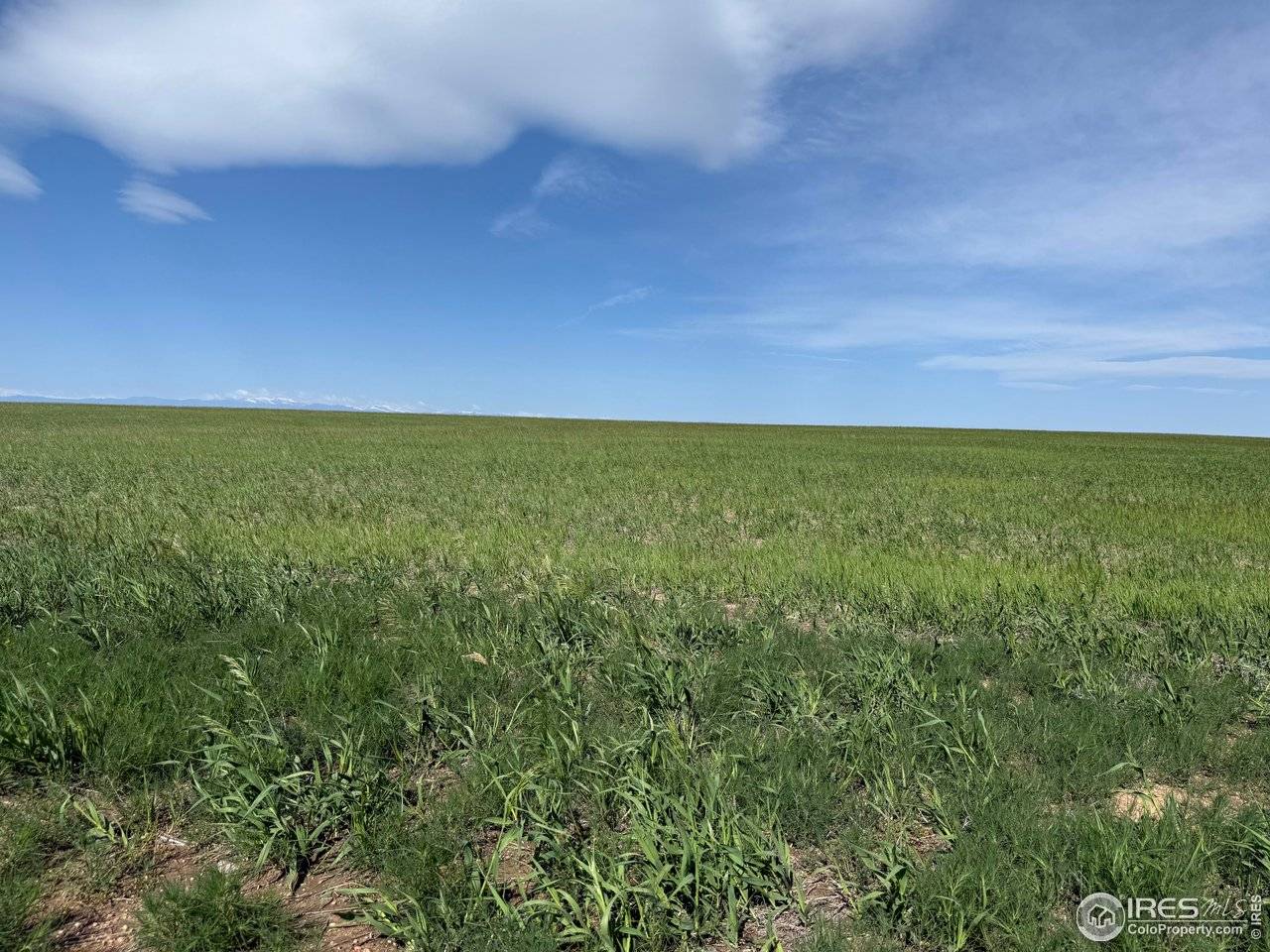 1 TBD FFD25-0005 LotA CO Road 15, Carr, CO 80612