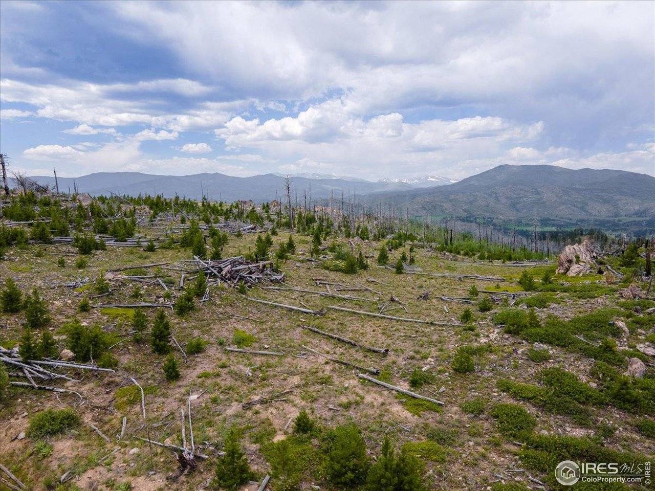 Tip Top, Bellvue, CO 80512