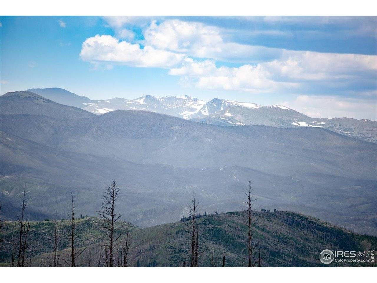 Tip Top, Bellvue, CO 80512