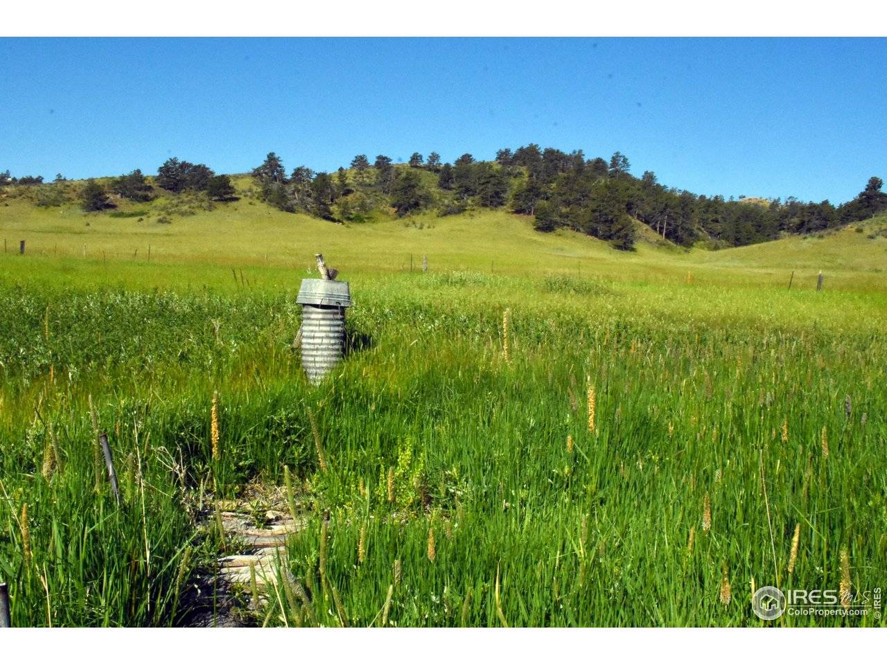 1364 Red Bluff, Livermore, CO 80536