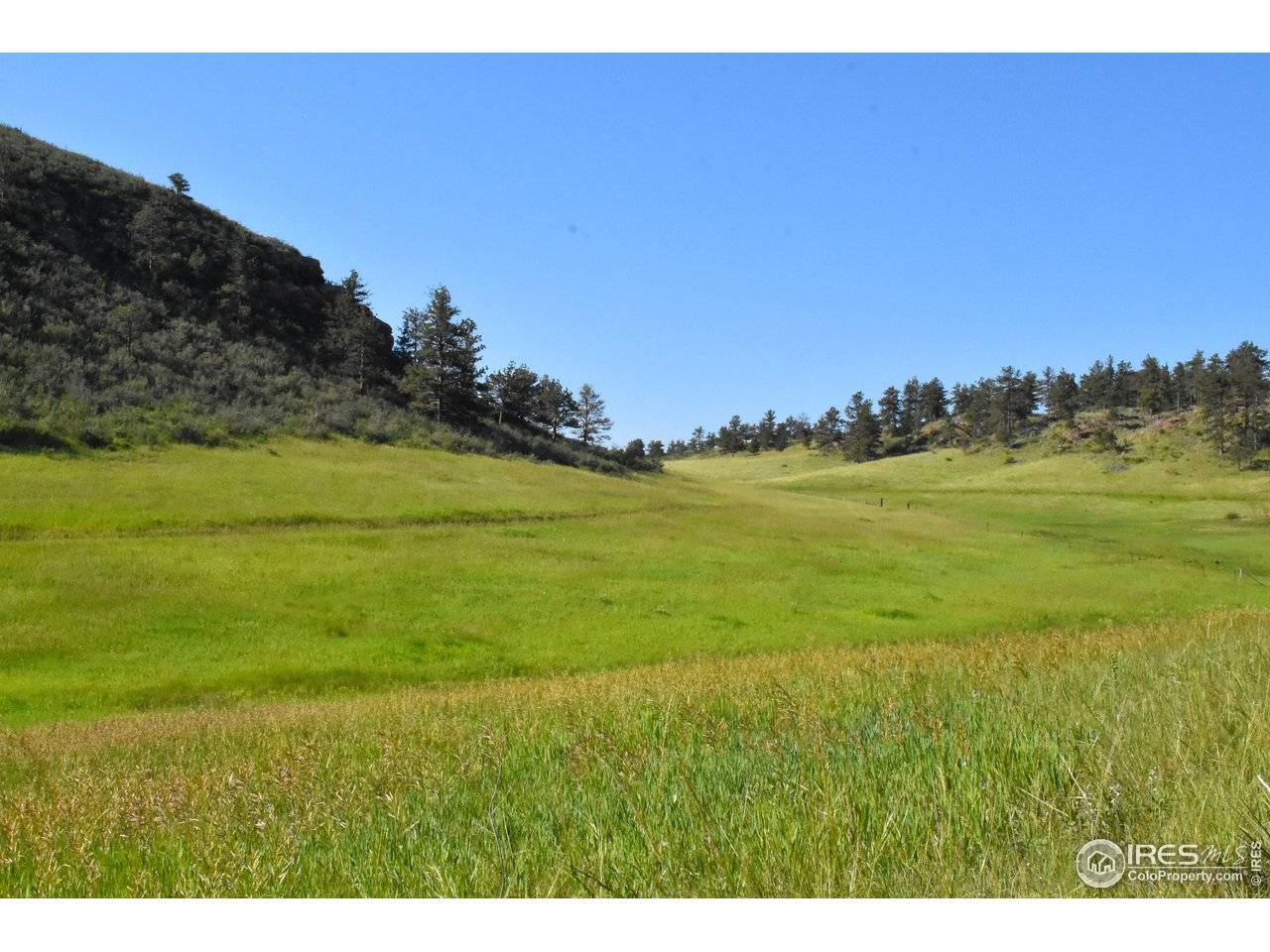 1364 Red Bluff, Livermore, CO 80536