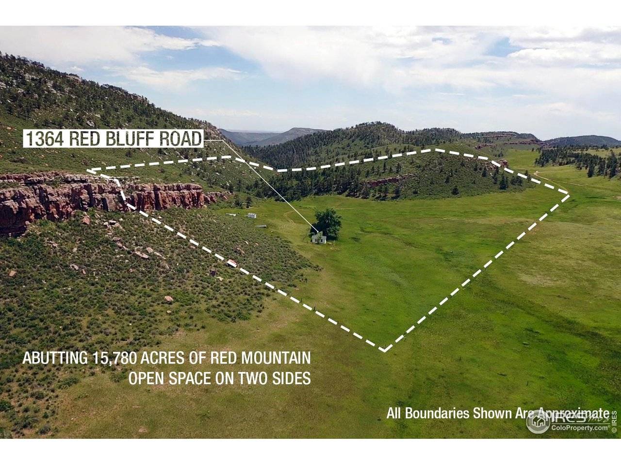 1364 Red Bluff, Livermore, CO 80536