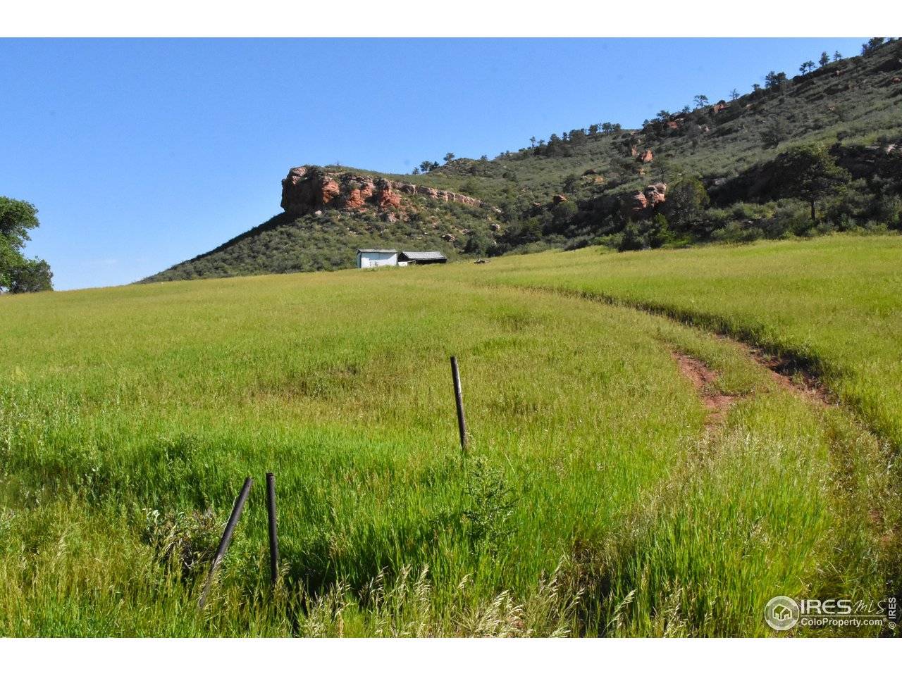 1364 Red Bluff, Livermore, CO 80536