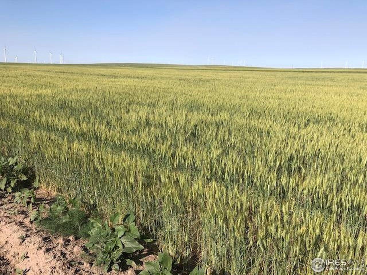 0 CR 70, Briggsdale, CO 80611