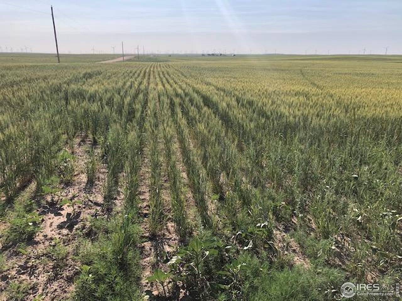 0 CR 70, Briggsdale, CO 80611