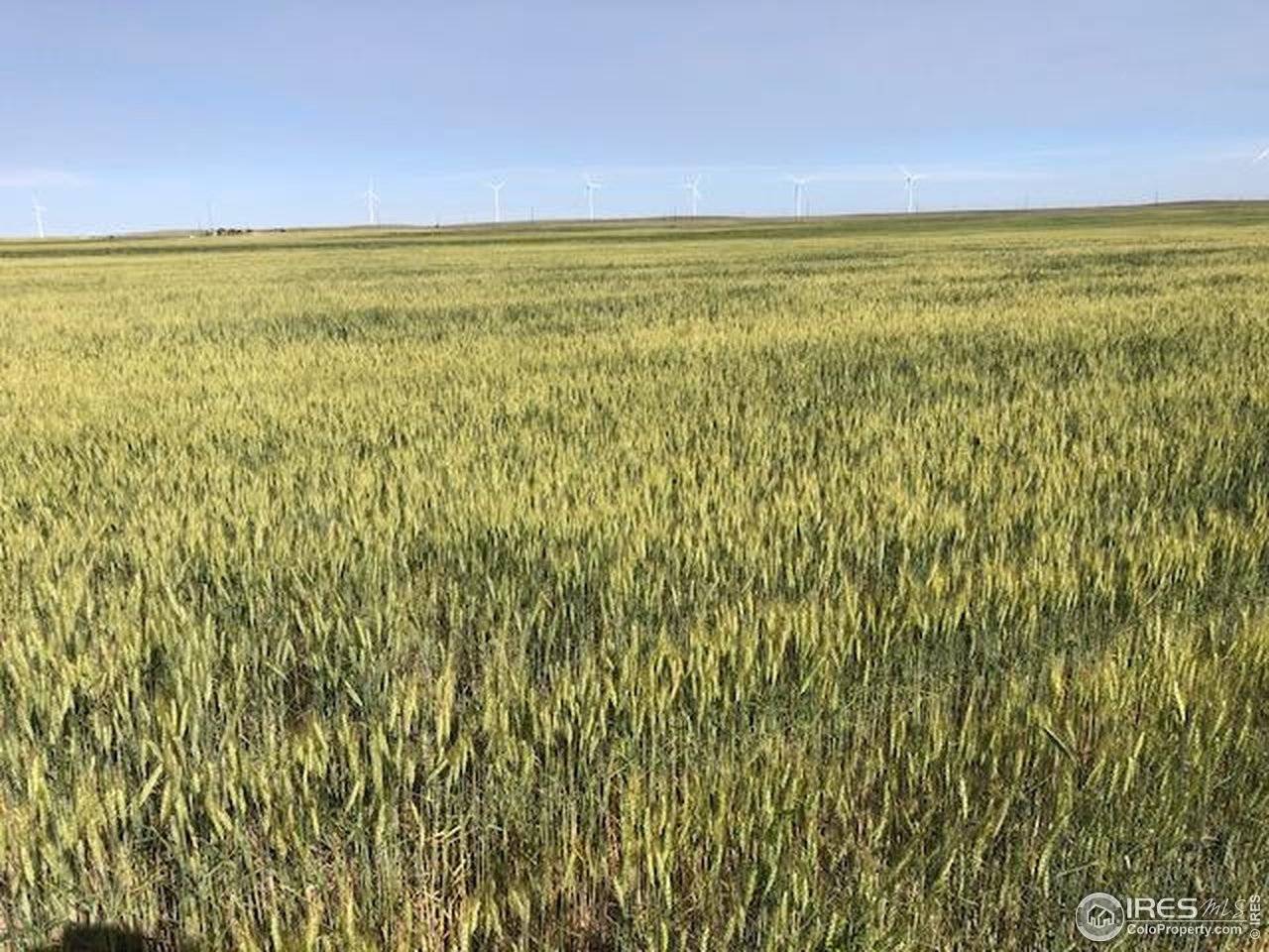 0 CR 70, Briggsdale, CO 80611