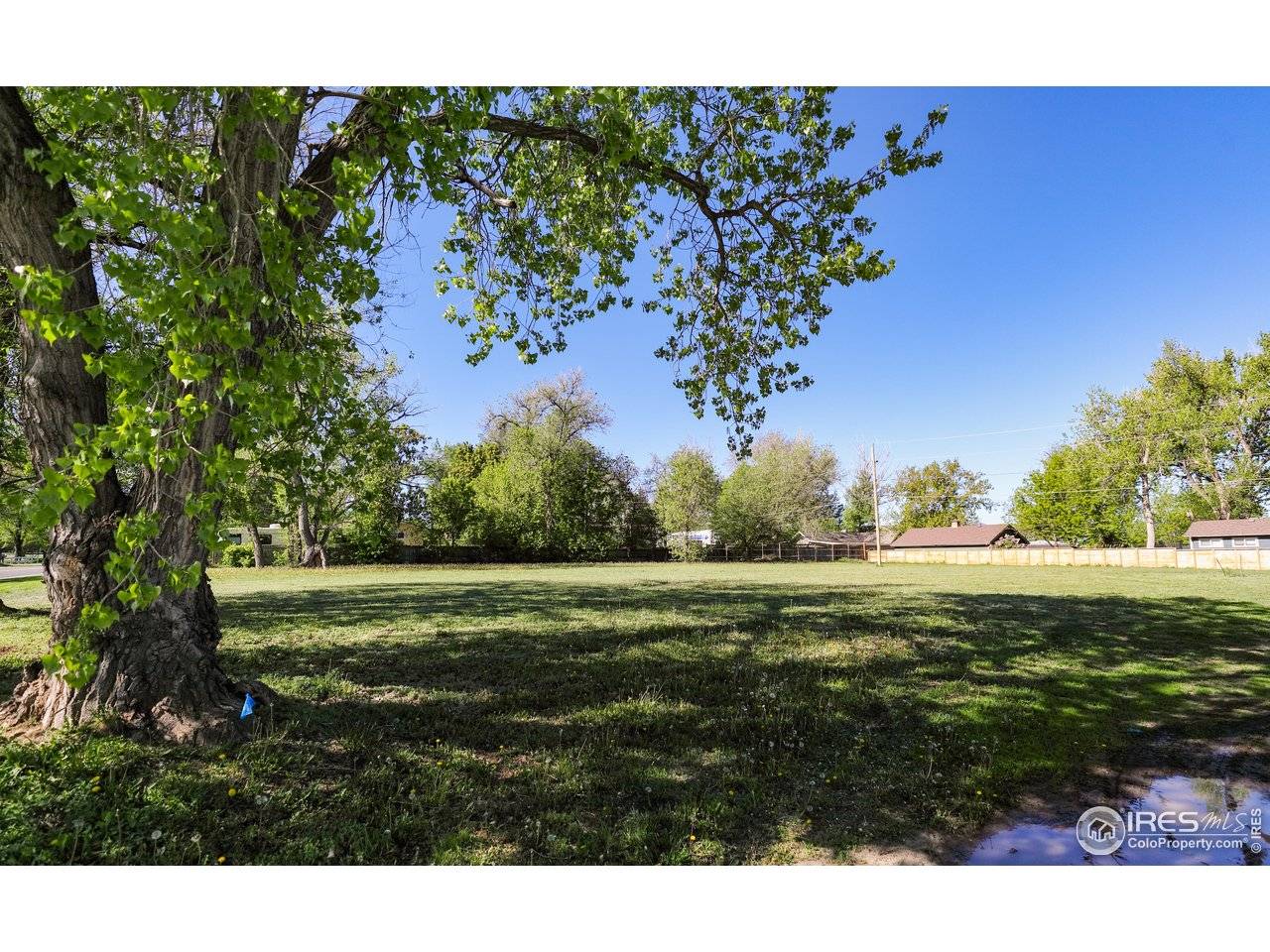 11880 Juniper, Lafayette, CO 80026