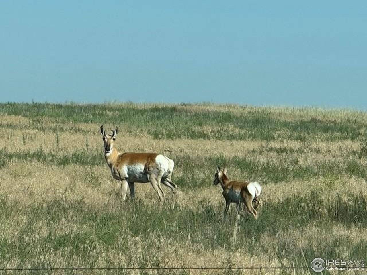3 TBD Lot A FFD25-0006 WCR 15, Carr, CO 80612