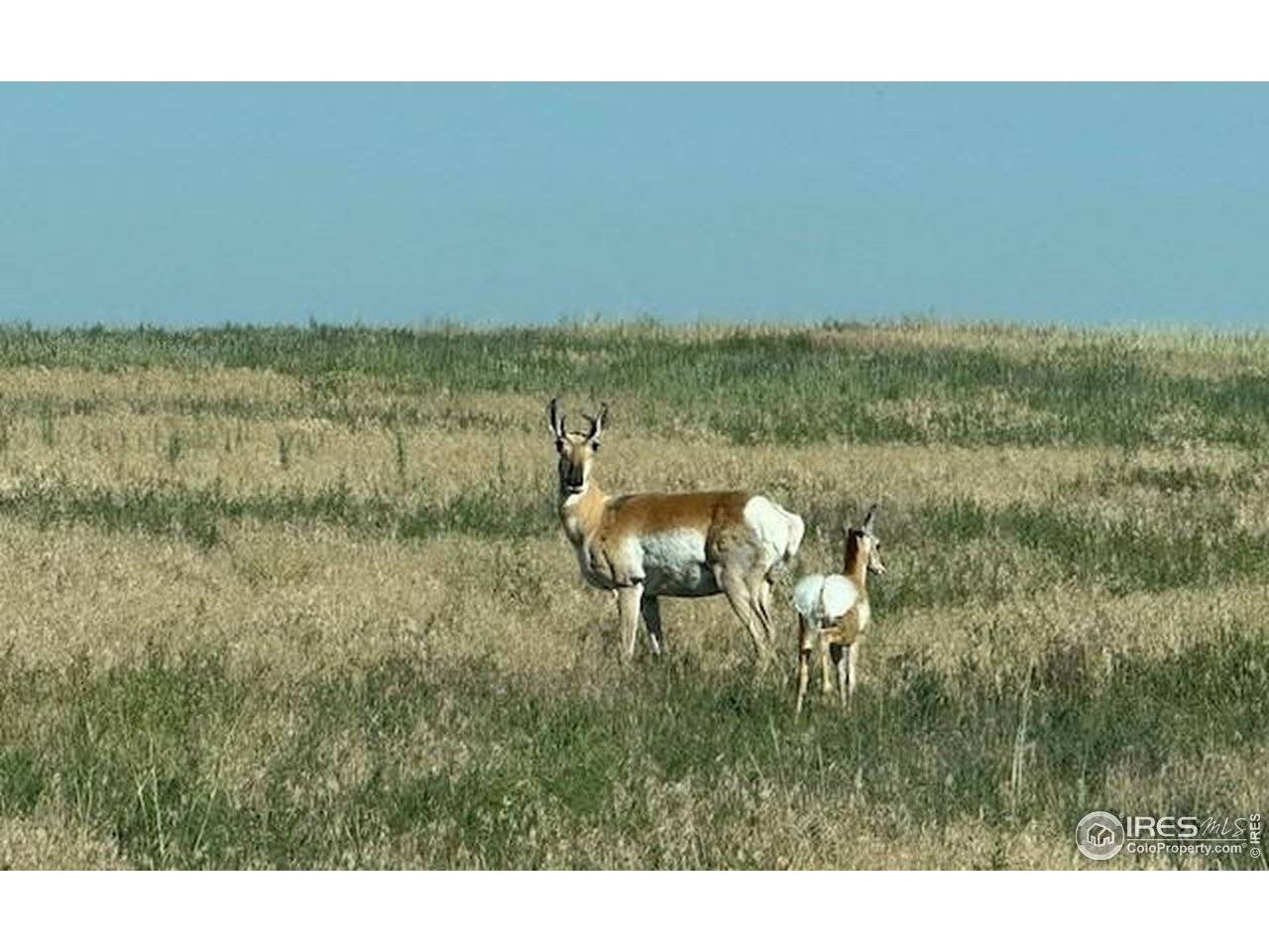 3 TBD Lot A FFD25-0006 WCR 15, Carr, CO 80612
