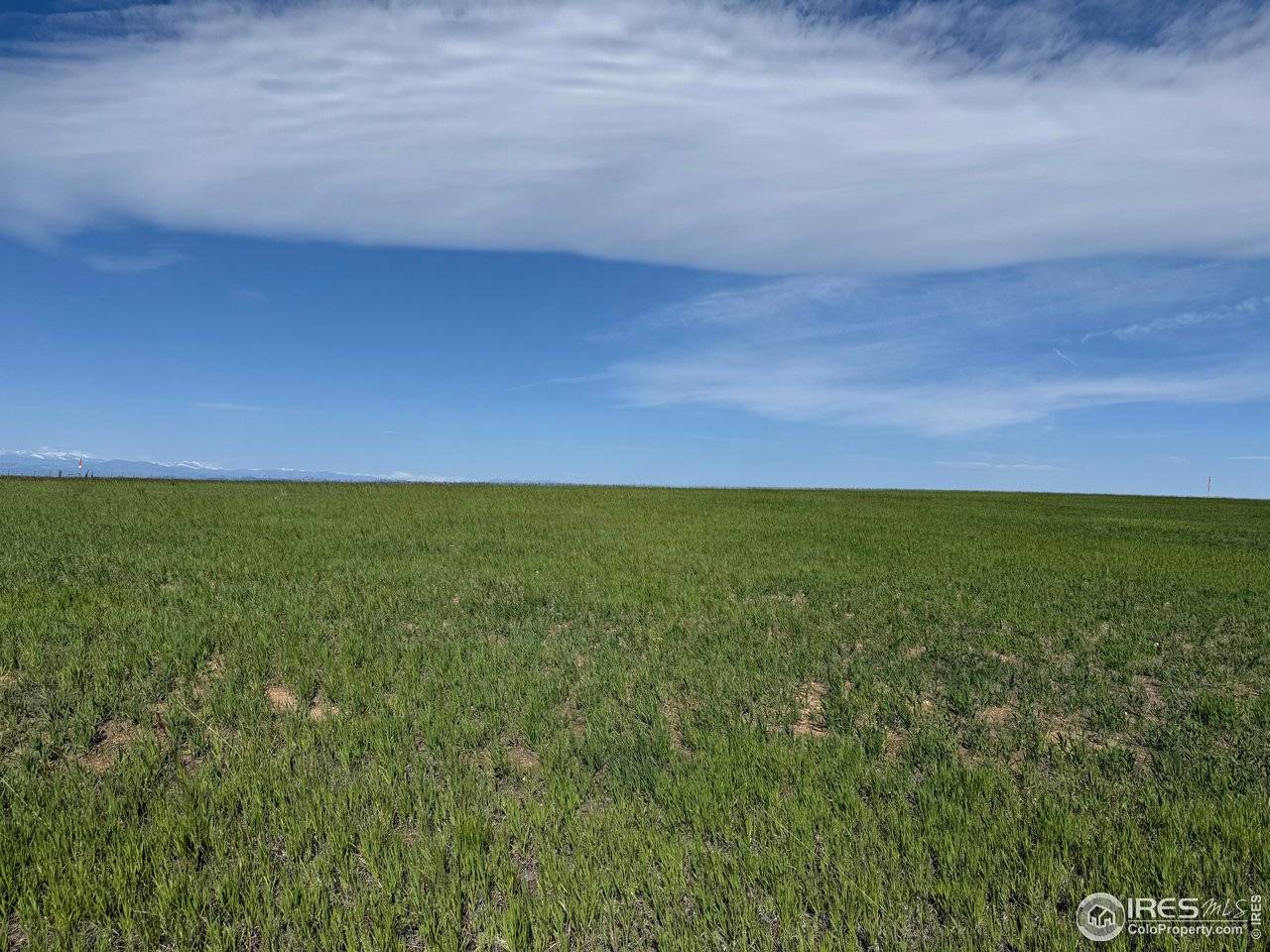 3 TBD Lot B FFD25-0006 WCR 15, Carr, CO 80612