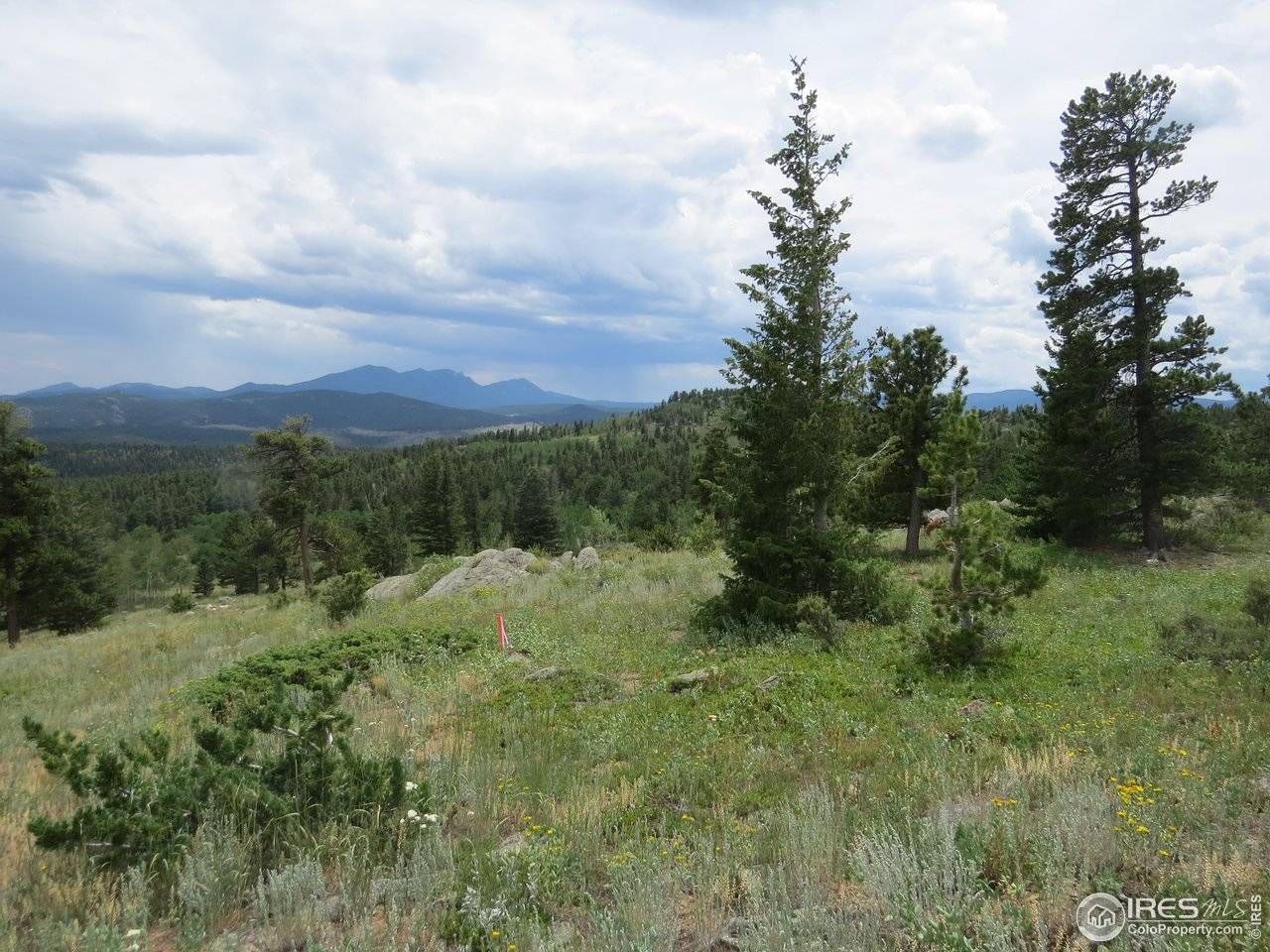 0 Peak to Peak, Nederland, CO 80466