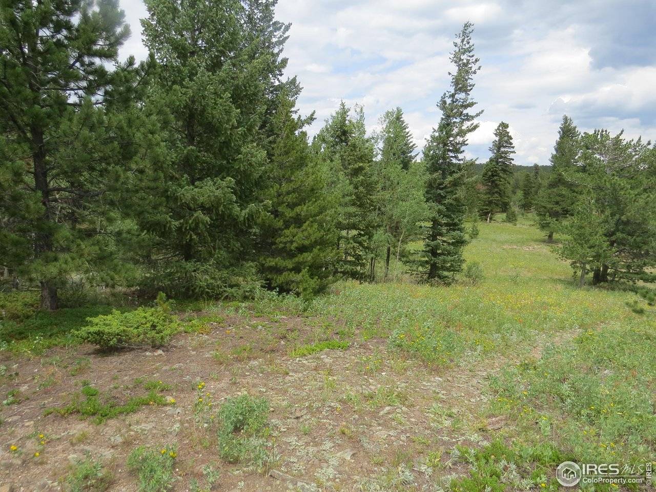 0 Peak to Peak, Nederland, CO 80466