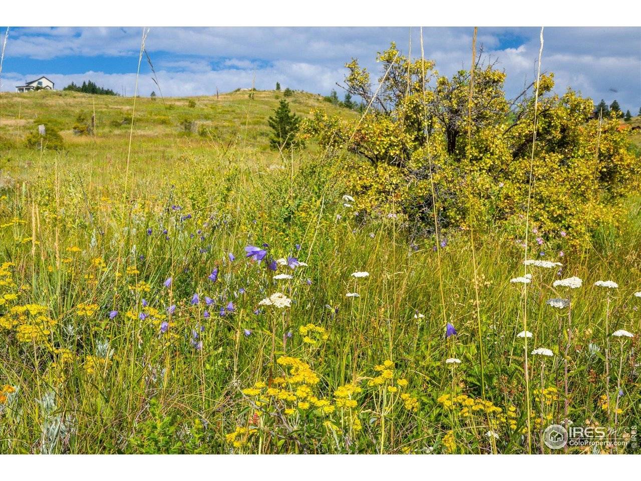 730 Lost Angel, Boulder, CO 80302
