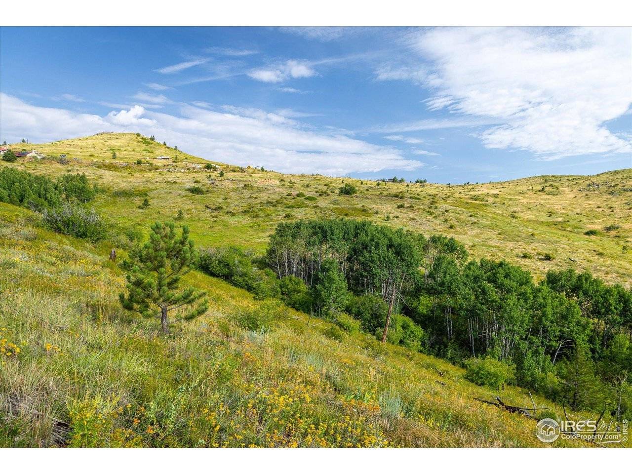 730 Lost Angel, Boulder, CO 80302