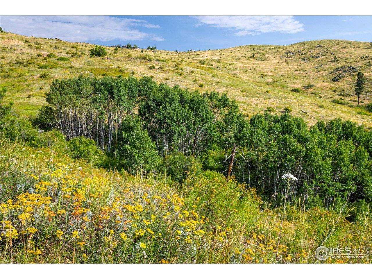 730 Lost Angel, Boulder, CO 80302