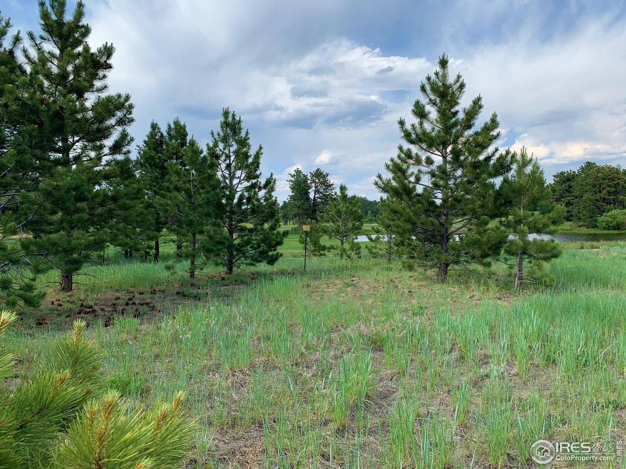 3 Fox Meadow #Lot 3, Red Feather Lakes, CO 80545