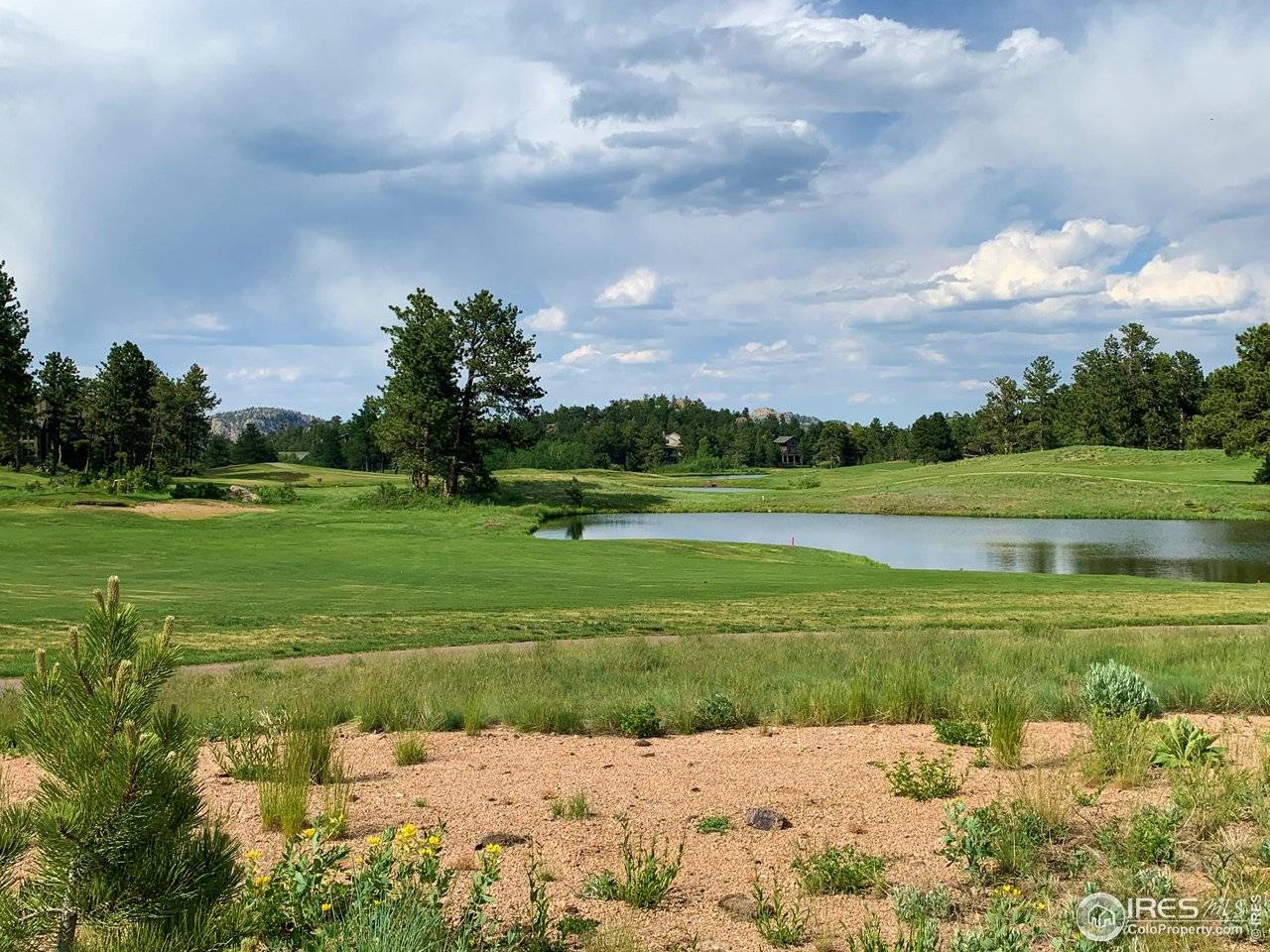 3 Fox Meadow #Lot 3, Red Feather Lakes, CO 80545