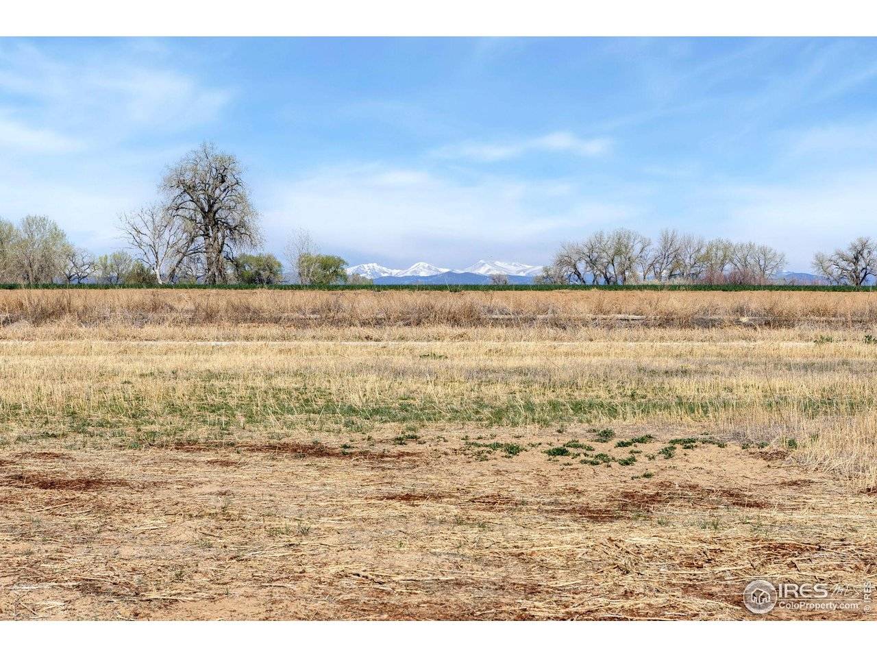 15287 Ypsilon, Mead, CO 80542