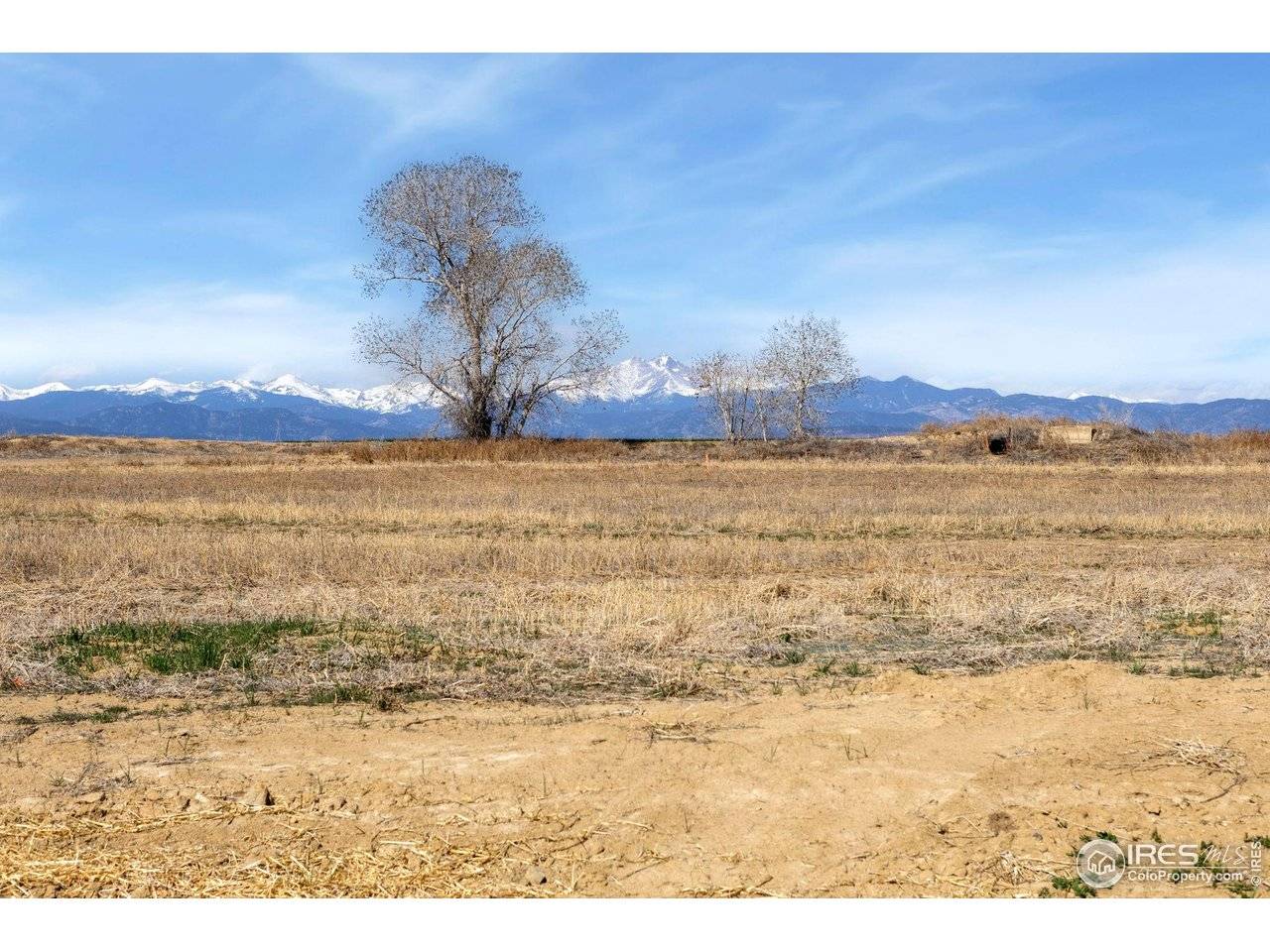 15287 Ypsilon, Mead, CO 80542