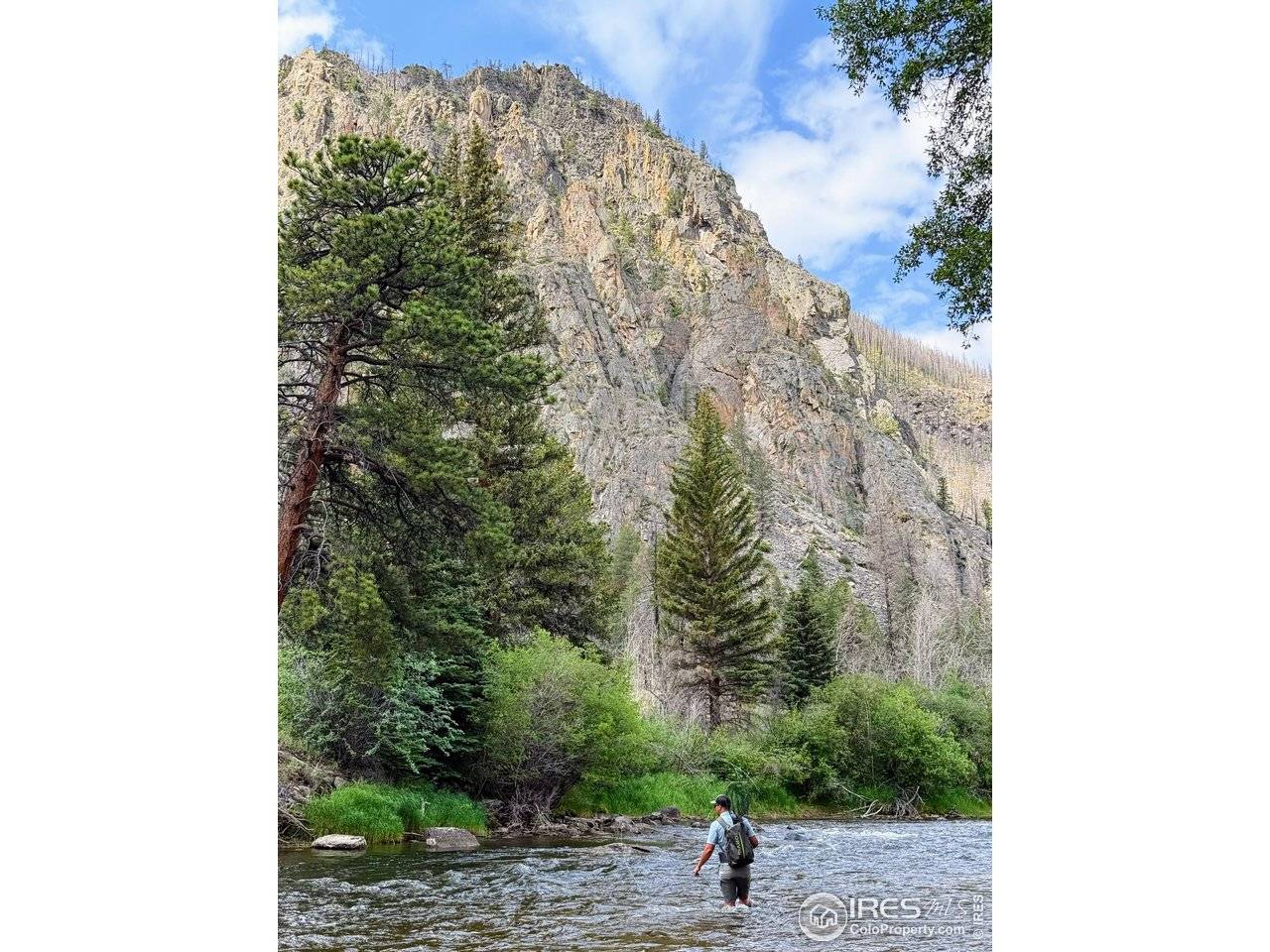 37797 W Highway 14, Bellvue, CO 80512