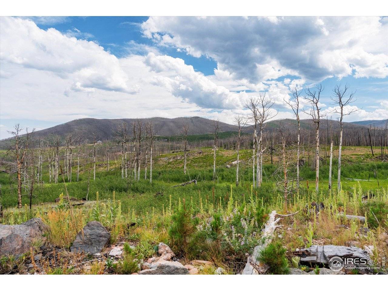 529 Quartz, Bellvue, CO 80512