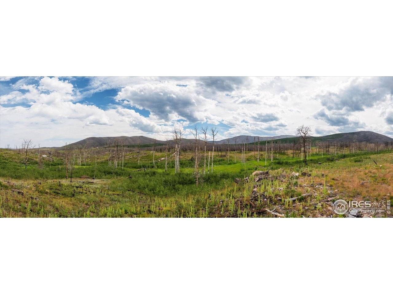 529 Quartz, Bellvue, CO 80512