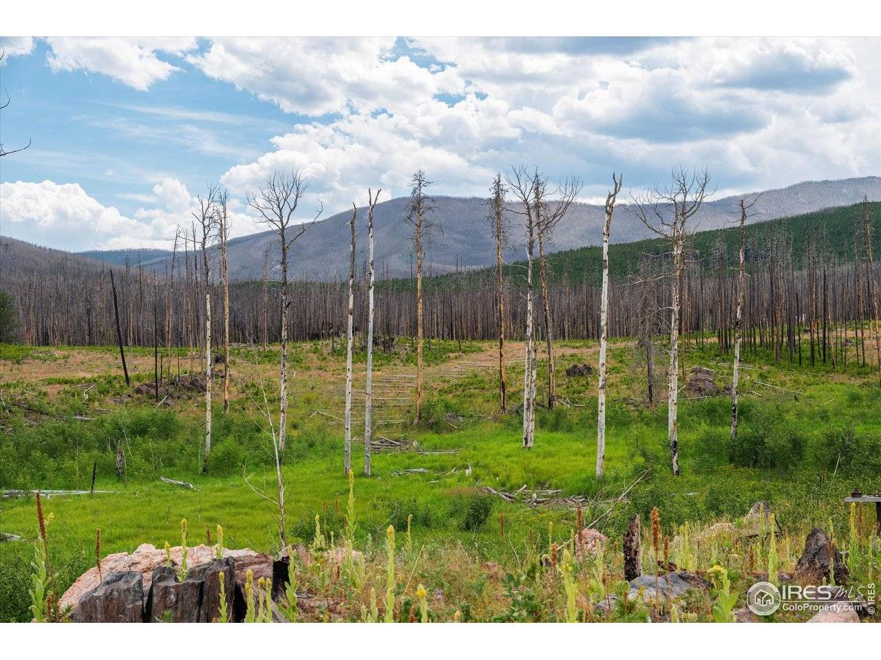 529 Quartz, Bellvue, CO 80512