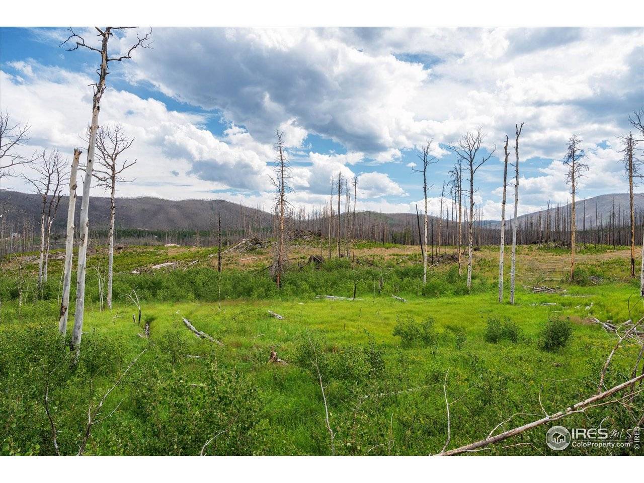 529 Quartz, Bellvue, CO 80512