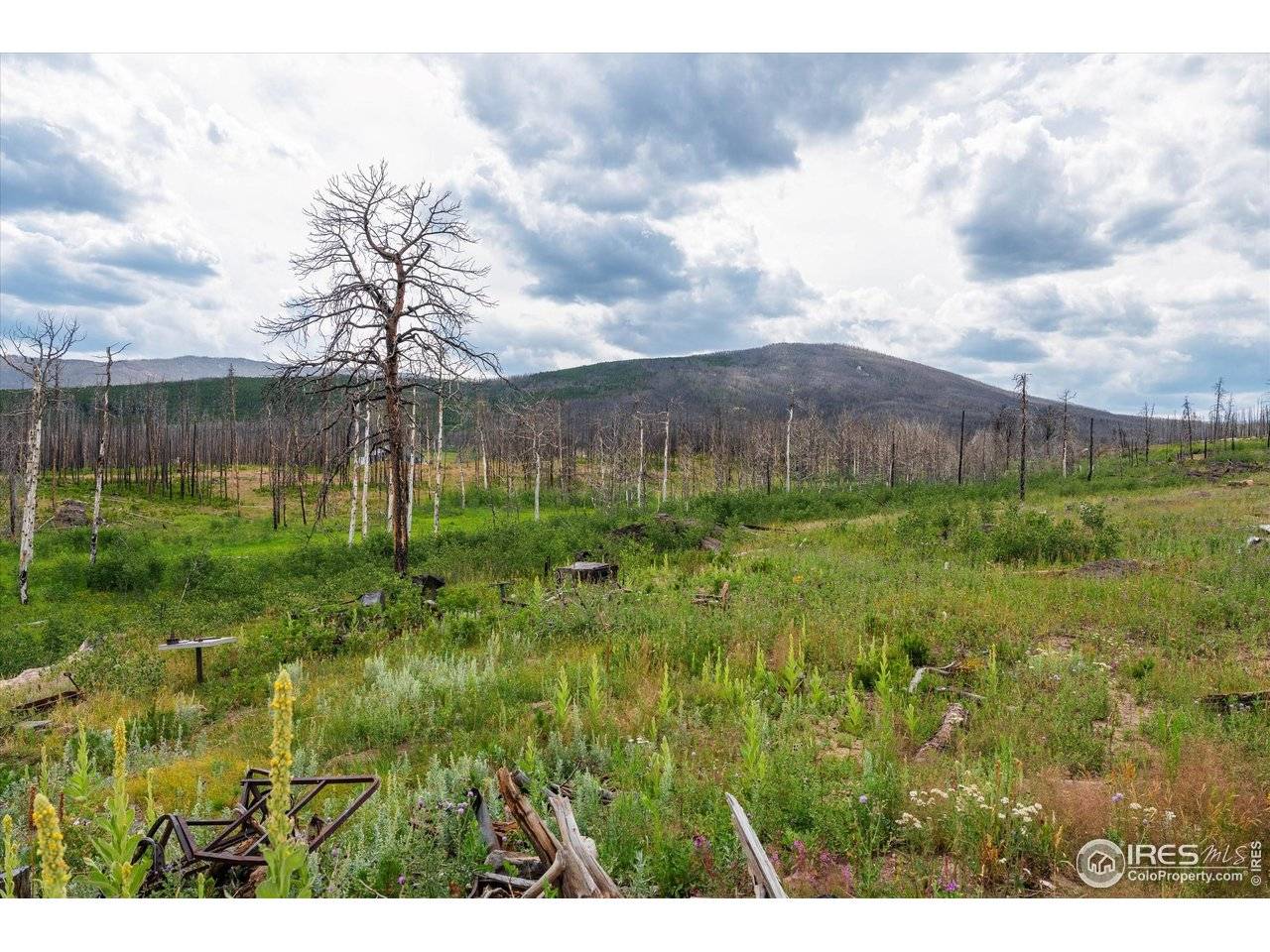 529 Quartz, Bellvue, CO 80512