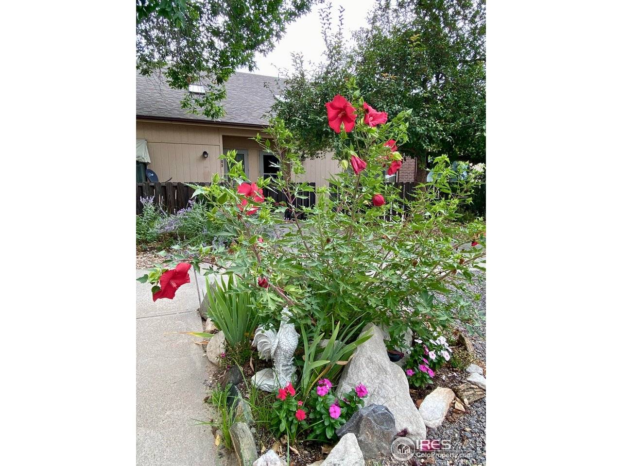 603 Park #106, Sterling, CO 80751