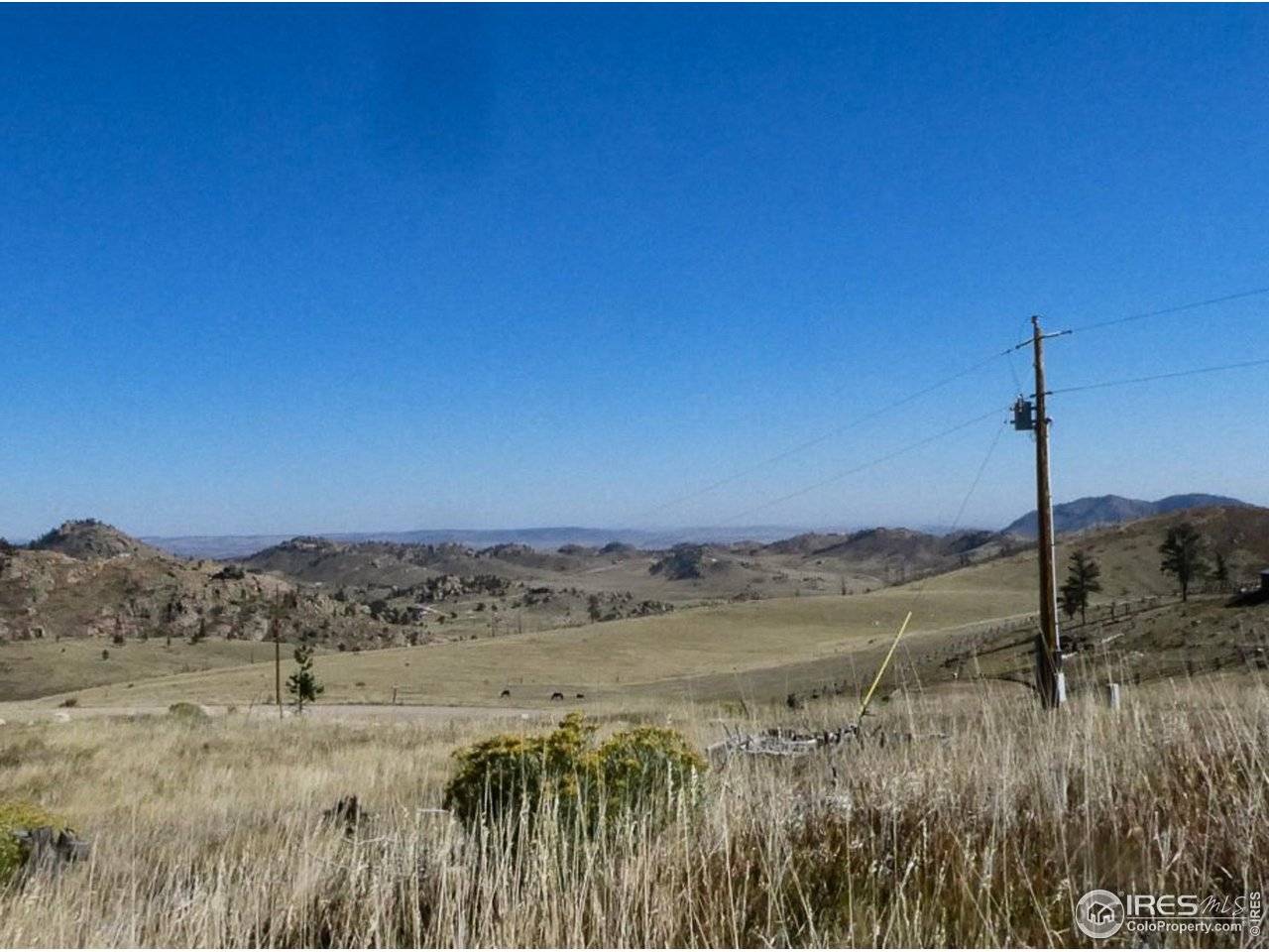 59 Bobcat Mountain, Livermore, CO 80536
