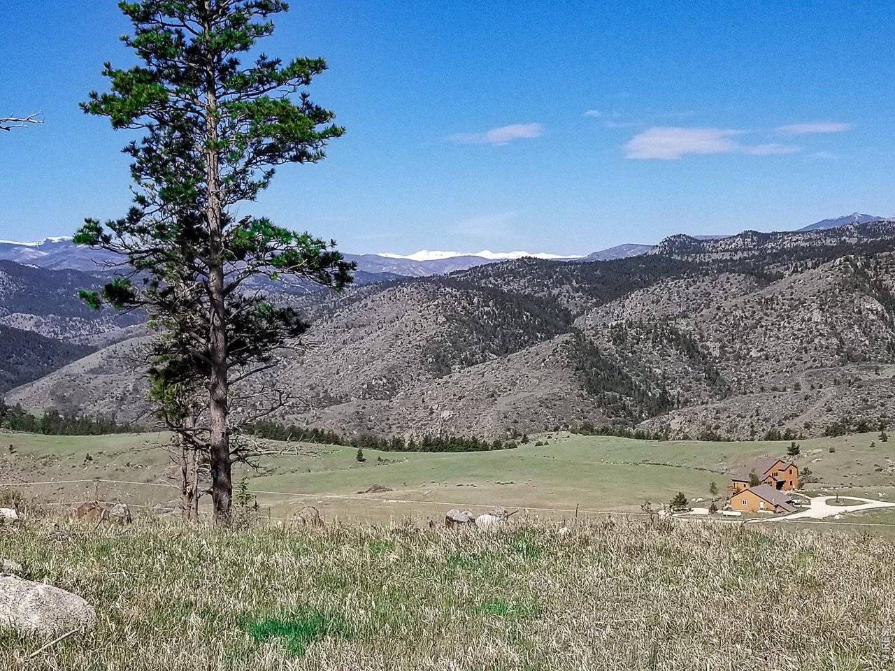 59 Bobcat Mountain, Livermore, CO 80536