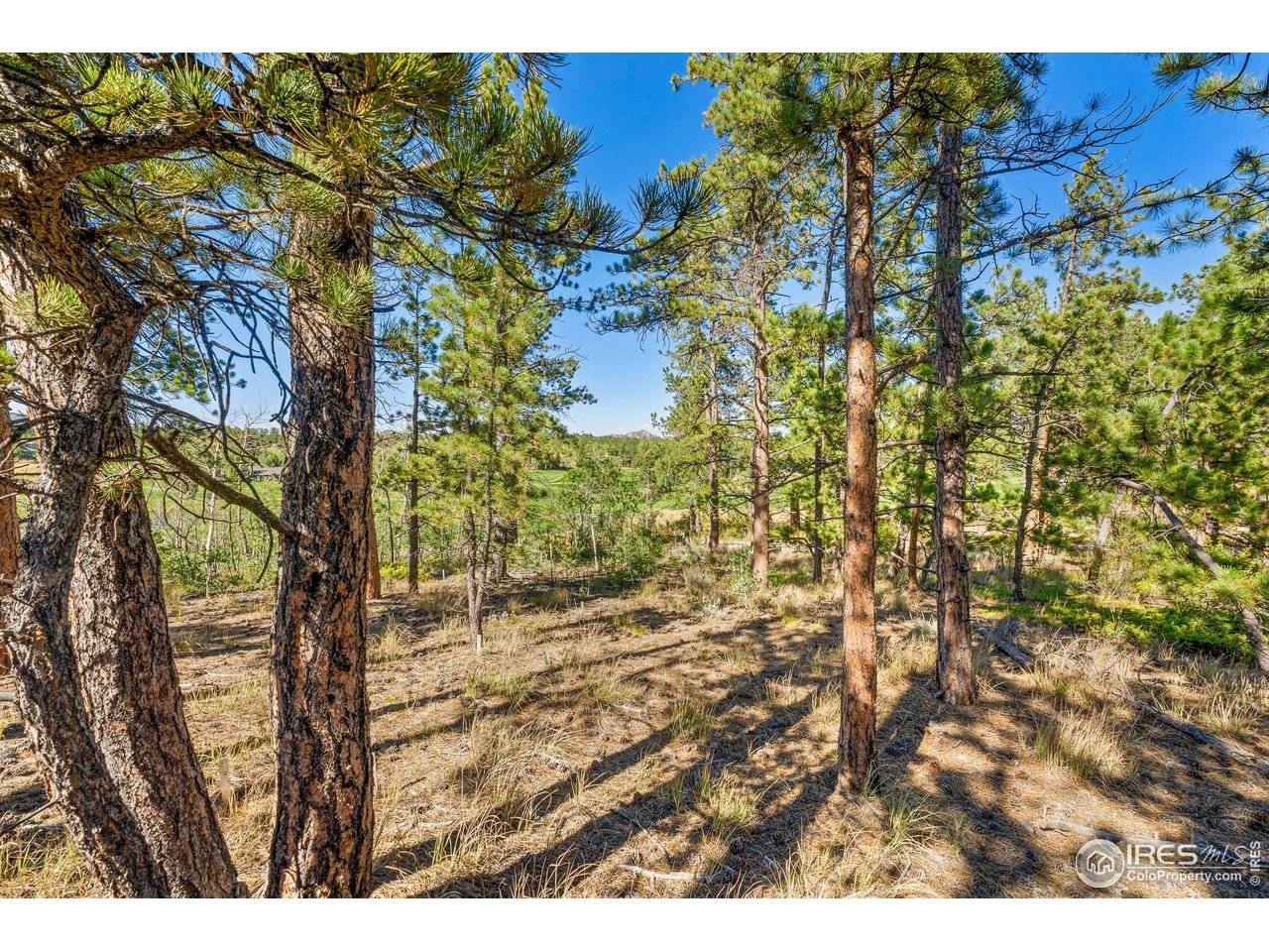 70 Northwoods, Red Feather Lakes, CO 80545