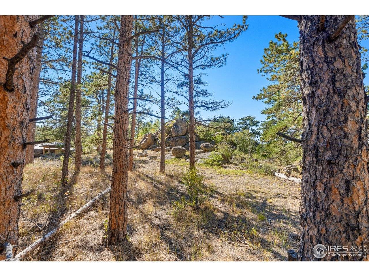 70 Northwoods, Red Feather Lakes, CO 80545