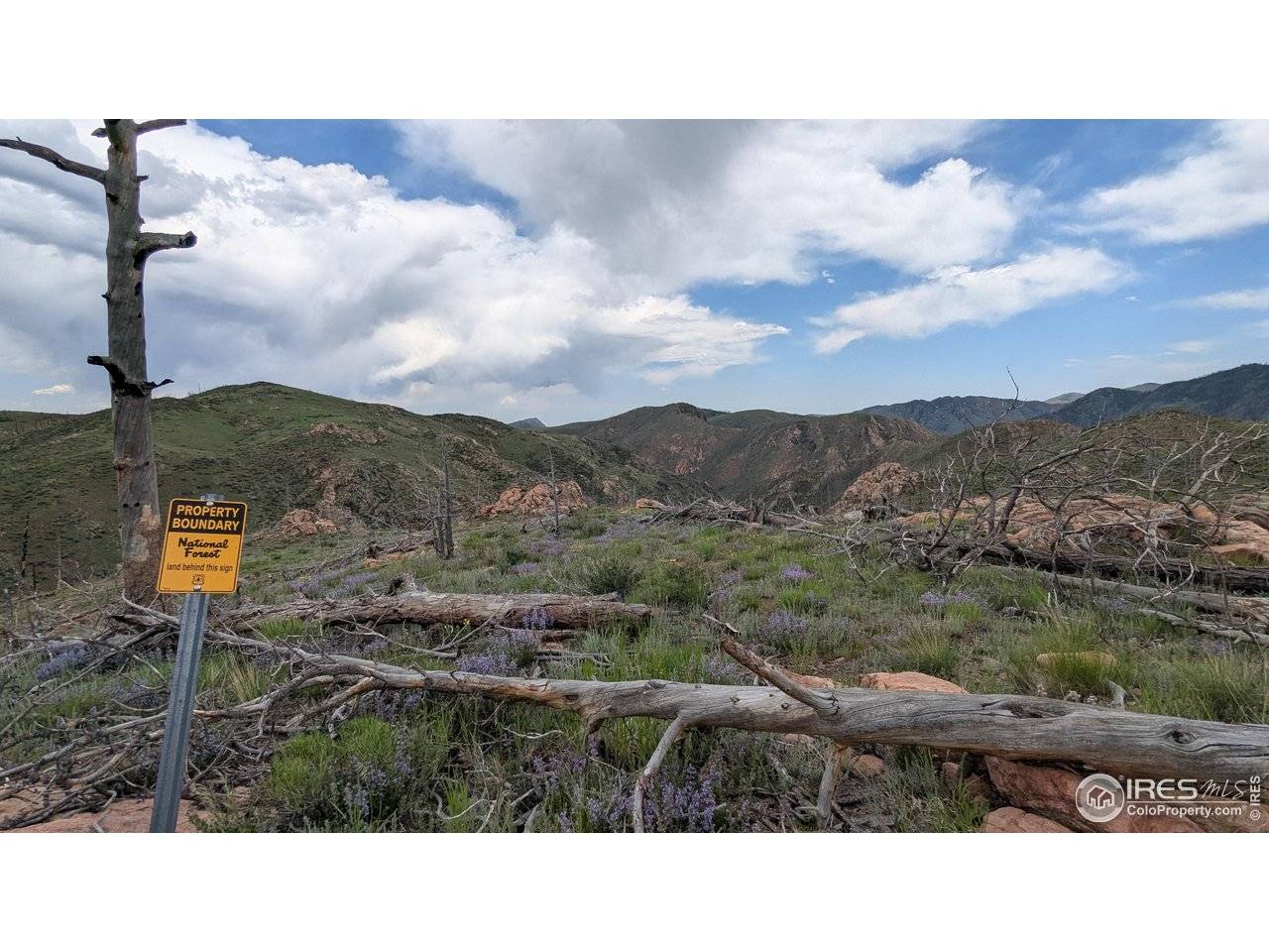 1324 Meadow Mountain, Livermore, CO 80536
